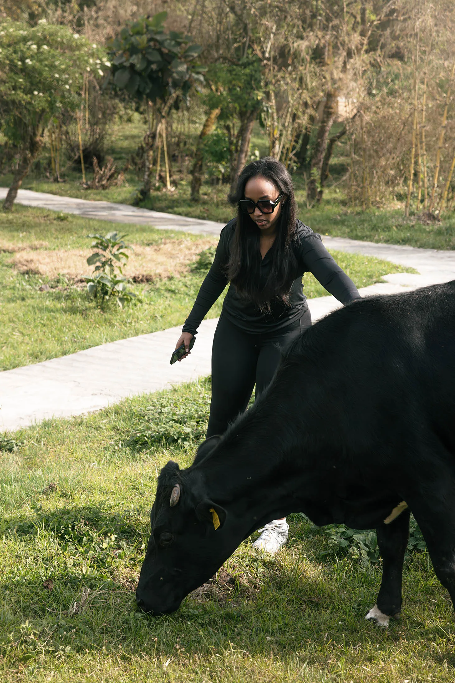 Mountain View Restaurant